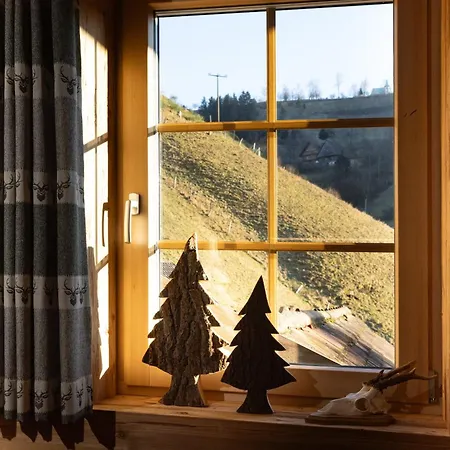 Schwarzwald -wilde Rench- Bad Peterstal-Griesbach