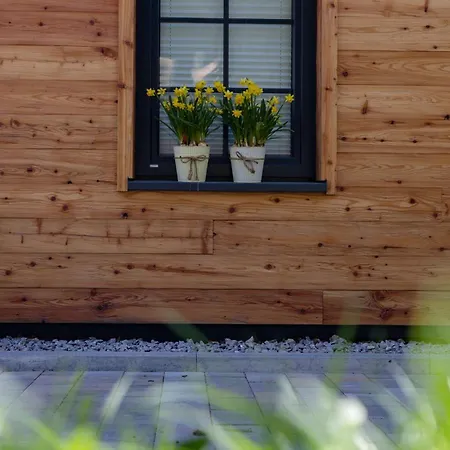 Schwarzwald -wilde Rench-