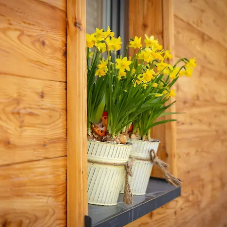 Schwarzwald -wilde Rench- *