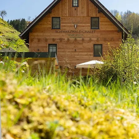 Schwarzwald -wilde Rench- Bad Peterstal-Griesbach