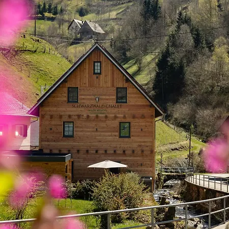 Schwarzwald -wilde Rench- Apartmán